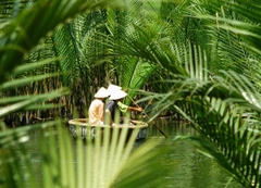 Giá vé thuê thuyền thúng và tham quan rừng dừa Bảy Mẫu - Hội An