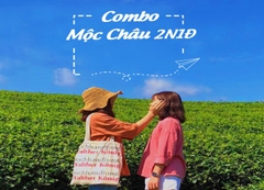 Combo Mộc Châu Giá Rẻ Từ Hà Nội Dịch Vụ Cập Nhật 2025
