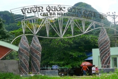 Review Kinh Nghiệm, Giá Vé Vườn Quốc Gia Cát Bà 2025