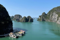 Động Thiên Cung Hang Đầu Gỗ Giá Vé, Kinh Nghiệm Du Lịch 2025