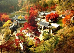 Có nên đi du lịch Hàn Quốc vào mùa thu để ngắm lá đỏ ?