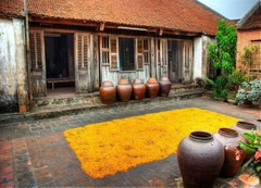 Giá vé tham quan làng cổ Đường Lâm