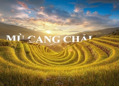 Phải lòng Mù Cang Chải mùa lúa chín