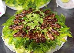 Giá vé tham quan trang trại dế Thiên An Đà Lạt