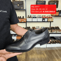 Morelli 4977 (38,39,40,41)
