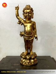 Tượng Phật đản sinh bằng đồng vàng cao cấp