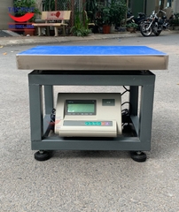 Cân ghế điện tử ghế ngồi 200kg  (A12 - Khung thép)