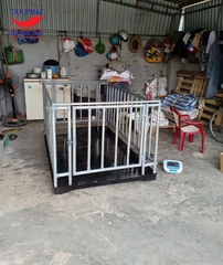 Cân động vật HP (2mx1.2m)