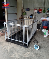 Cân động vật HP (2mx1.2m)