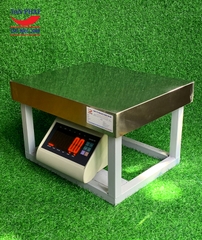 Cân ghế điện tử T7E