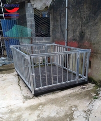 Cân động vật - Cân điện tử Tân Phát