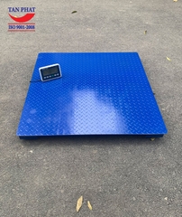 Cân sàn điện tử Mettler Toledo IND231