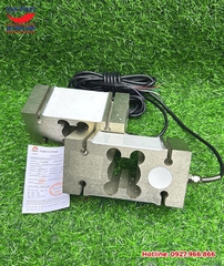 Loadcell IL 250kg