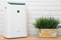 Máy hút ẩm và lọc không khí Sharp DW-E16FA-W (38m2)