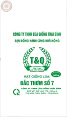 BAO BÌ GIỐNG LÚA BẮC THƠM 7