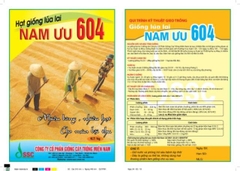 Bao bì Giống Lúa Nam Ưu 604 (1kg)