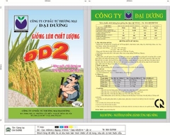 Túi Giống Lúa ĐD2