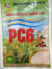 Túi giống lúa PC6