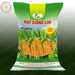 BAO BÌ GIỐNG LÚA HÀ TÂY 40KG