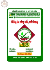 BAO BÌ GIỐNG LẠC LRDC