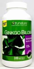 Ginkgo biloba