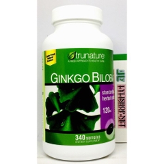 Ginkgo biloba