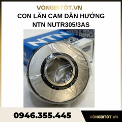 Con lăn cam dẫn hướng NTN NUTR305/3AS (25x62x25mm)
