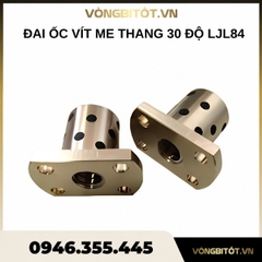 Đai ốc vít me thang 30 độ LJL84