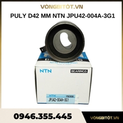 Puly D42 mm NTN JPU42-004A-3G1
