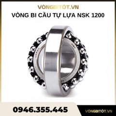 Vòng bi cầu tự lựa NSK 1200