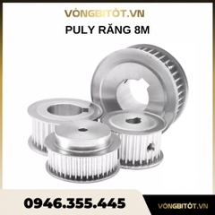 Puly răng 8M