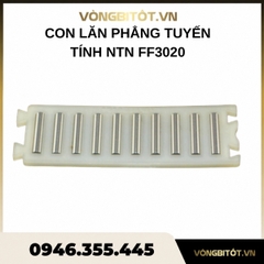 Con lăn phẳng tuyến tính NTN FF3020