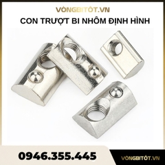 Con trượt bi nhôm định hình