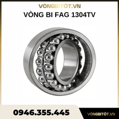 Vòng bi FAG 1304TV