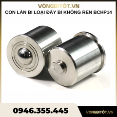 Con lăn bi loại đẩy bi không ren Inox 304 D14 BCHP14