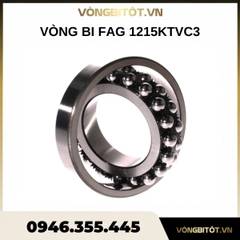Vòng bi FAG 1215KTVC3
