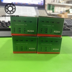 Con Trượt Vuông HIWIN HGL25HA