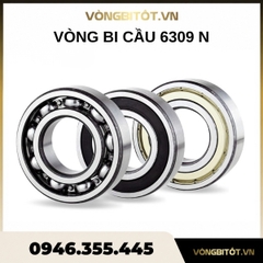 Vòng bi 6309 N (45x100x25mm)