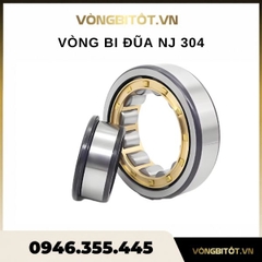 Vòng bi đũa NJ 304