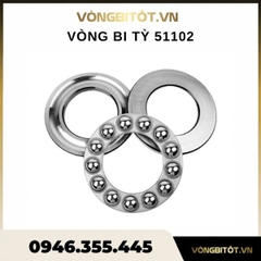 Vòng Bi Tỳ 51102