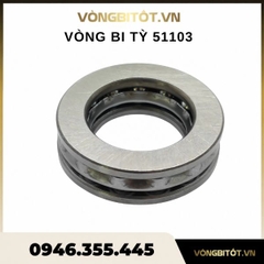 Vòng Bi Tỳ 51103