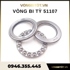 Vòng bi tỳ 51107