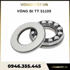 Vòng Bi Tỳ 51109