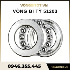 Vòng bi tỳ 51203