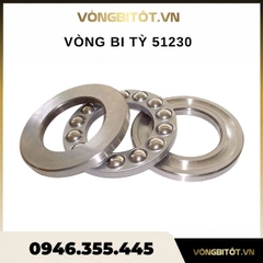 Vòng Bi Tỳ 51230