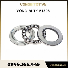 Vòng Bi Tỳ 51306
