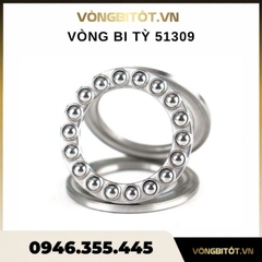 Vòng Bi Tỳ 51309