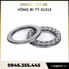 Vòng Bi Tỳ 51313