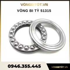 Vòng Bi Tỳ 51315