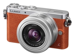 Panasonic Lumix DMC-GM1 body